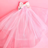 Bride Hair Bow Veil