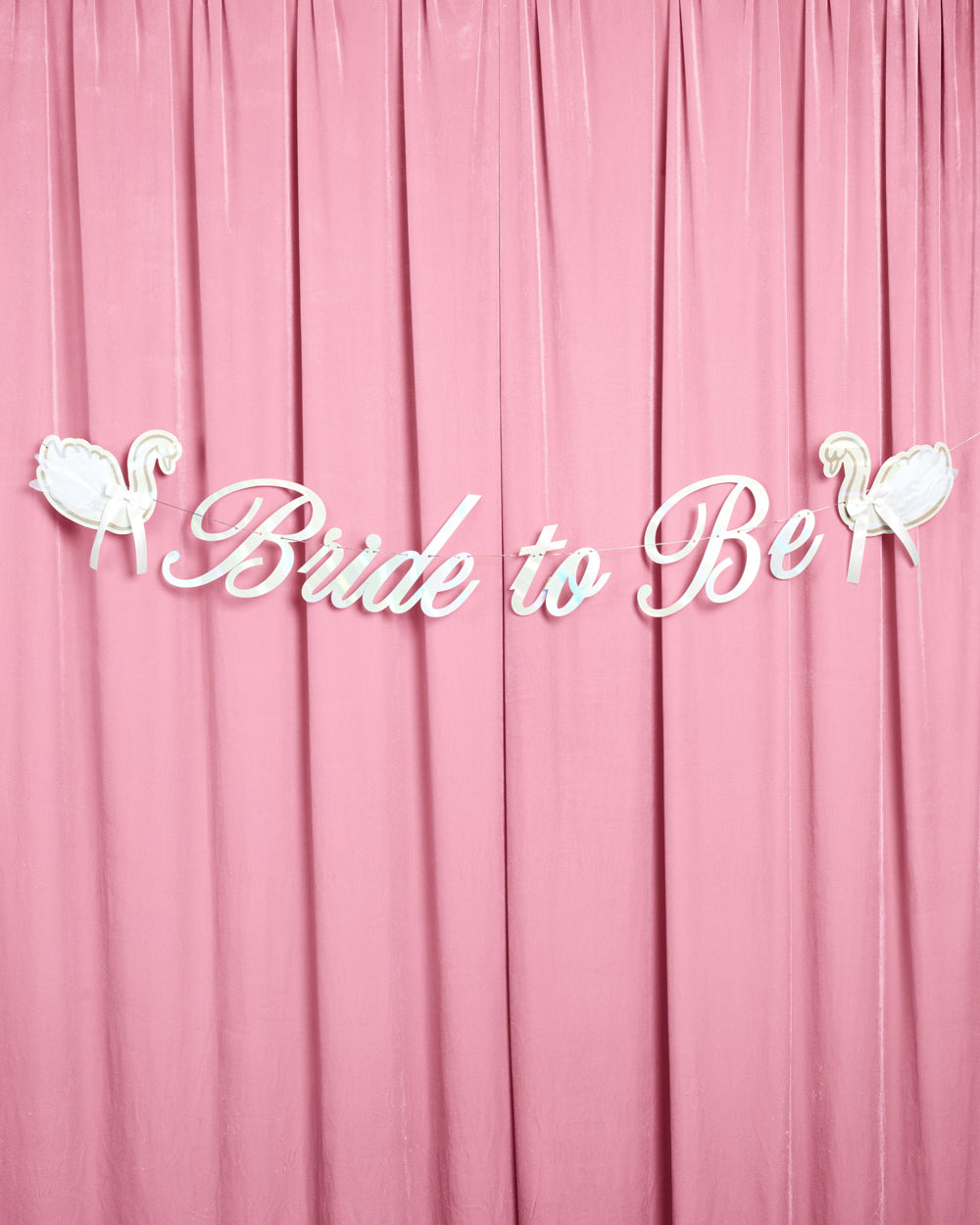 Swan to Be Banner - iridescent foil banner